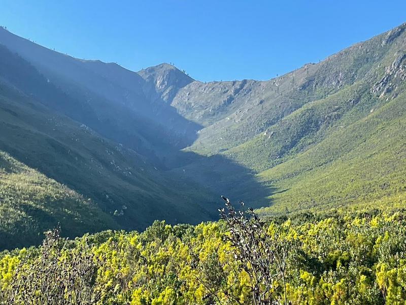0 Bedroom Property for Sale in Tsitsikamma Eastern Cape